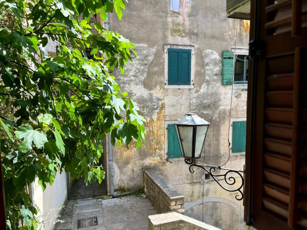 South Gate Apartments 262 Kotor Extérieur photo